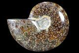 Polished, Agatized Ammonite (Cleoniceras) - Madagascar #88073-1